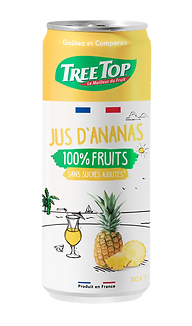 Pineapple Juice Flavour 